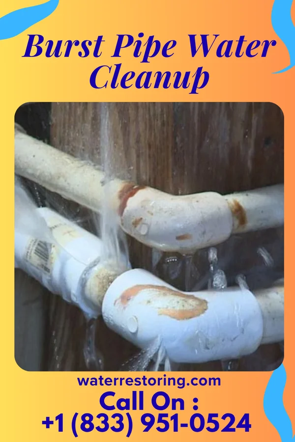 Burst Pipe Water Cleanup in Homewood at Martinsburg, PA