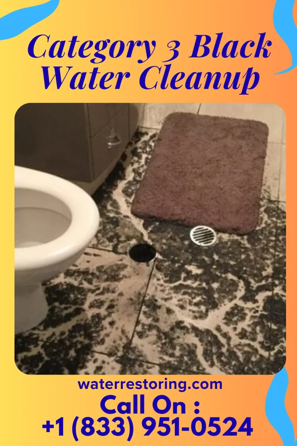 Category 3 Black Water Cleanup in Homewood at Martinsburg, PA