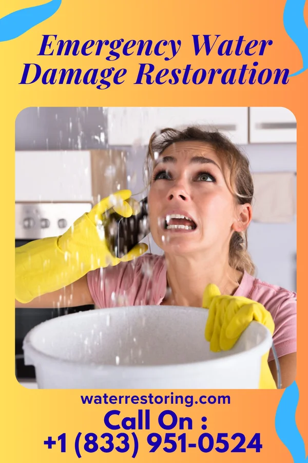 Emergency Water Damage Restoration in Homewood at Martinsburg, PA