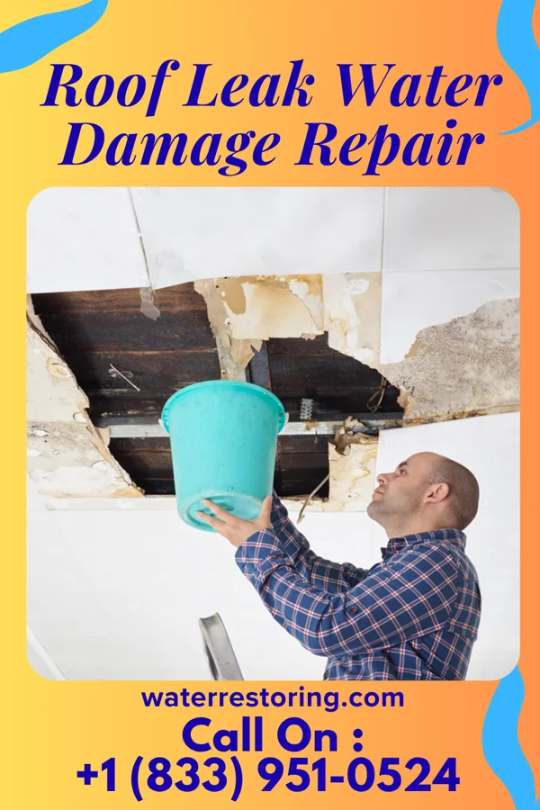 Roof Leak Water Damage Repair in Homewood at Martinsburg, PA