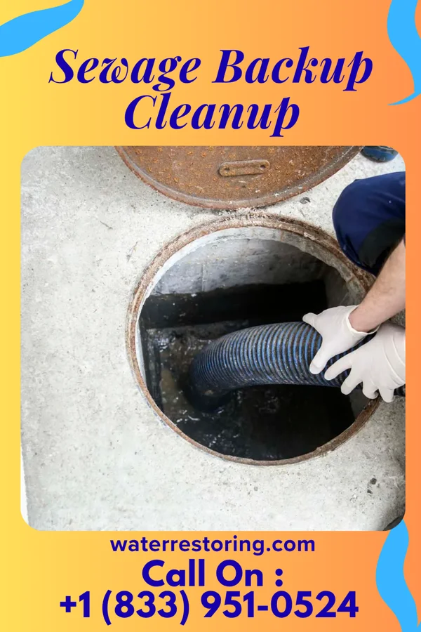 Sewage Backup Cleanup in Homewood at Martinsburg, PA
