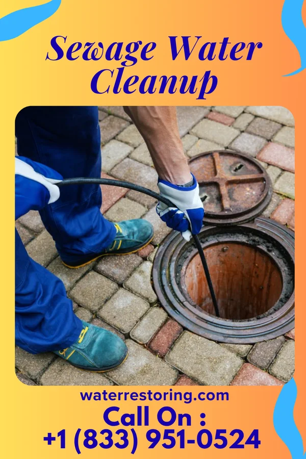 Sewage Water Cleanup in Homewood at Martinsburg, PA