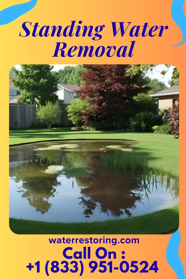 Standing Water Removal in Homewood at Martinsburg, PA